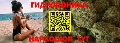 тгк Шахты